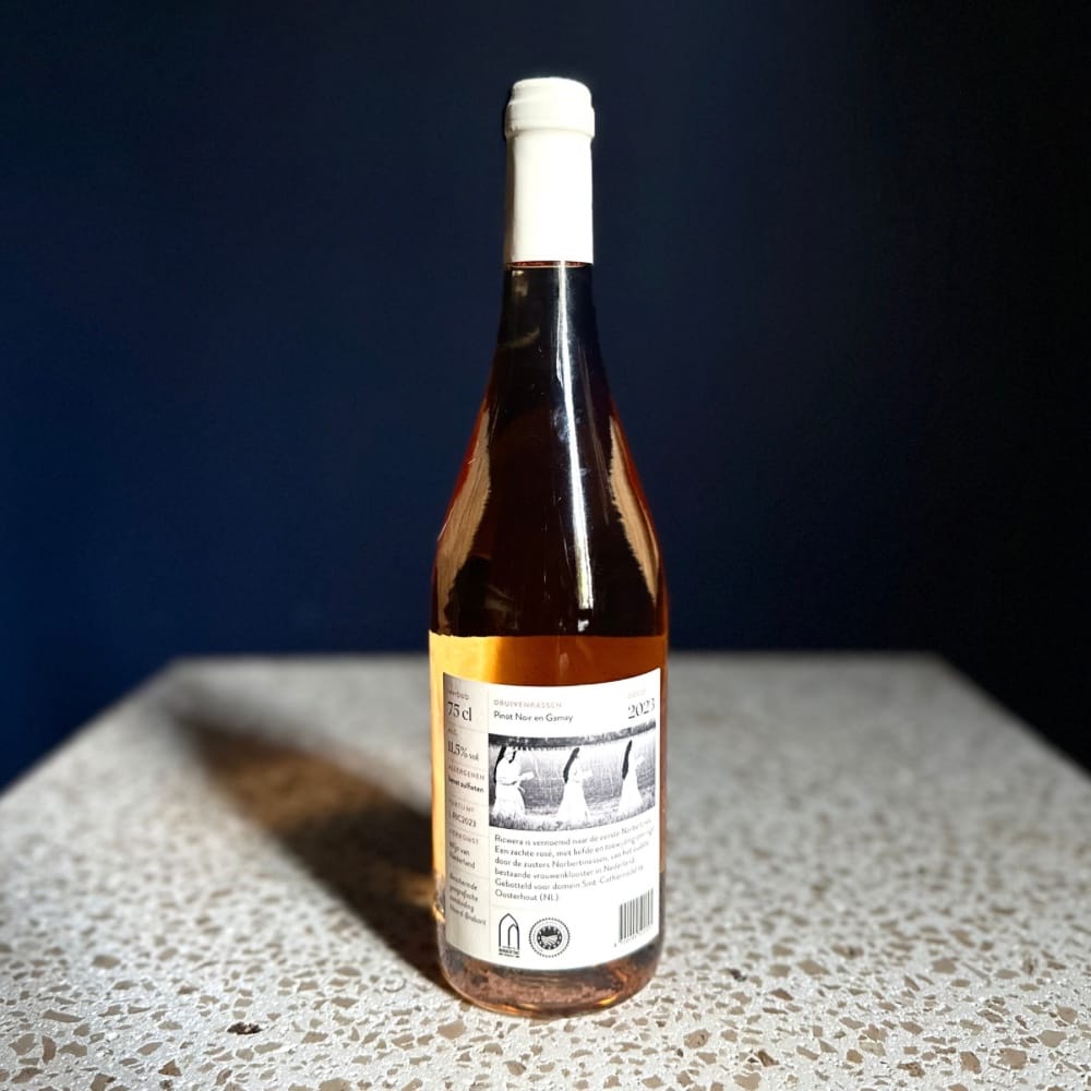 Sint Catharinadal - Ricwera - Bild 2