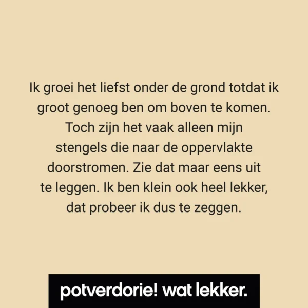 Potverdorie! Uien Chutney - Kleine Pot - Design & Wijn - Amsterdam - Nederlandse Wijn - Proeverij